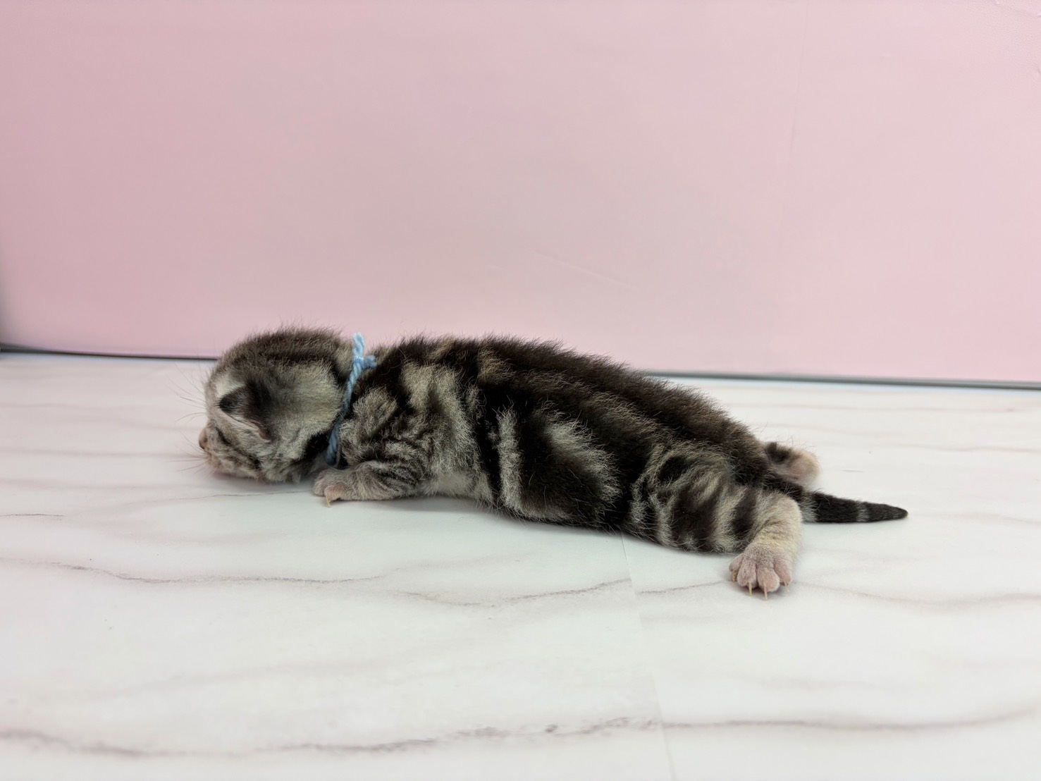 赤ちゃん写真1-2