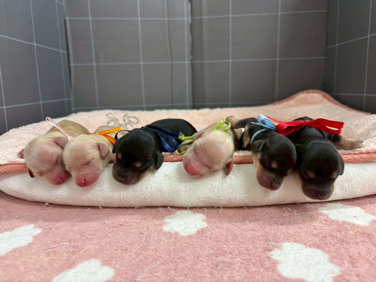 赤ちゃん写真1-3