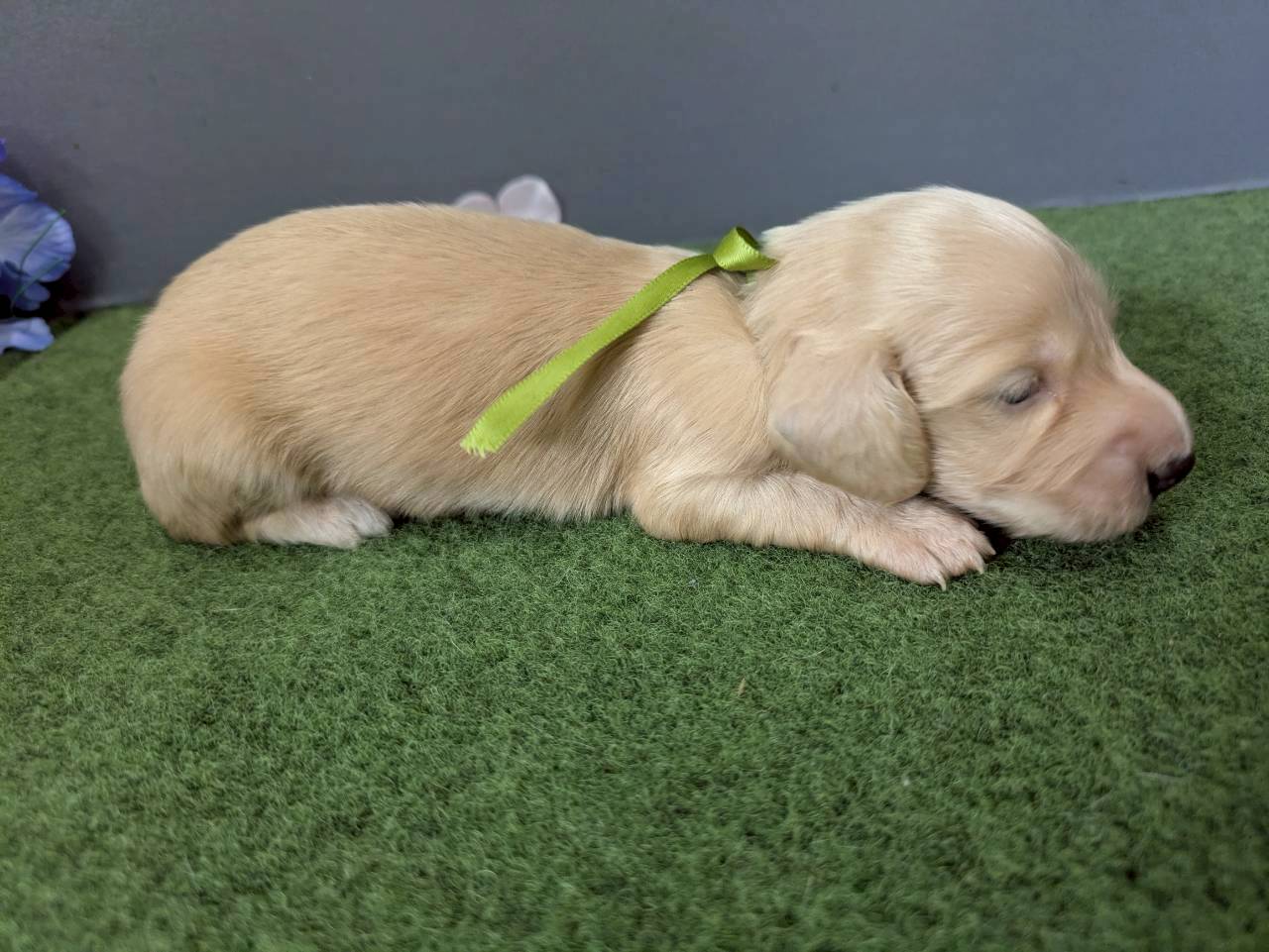 赤ちゃん写真2-2