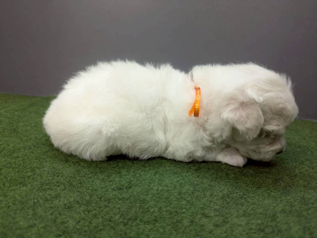 赤ちゃん写真2-2