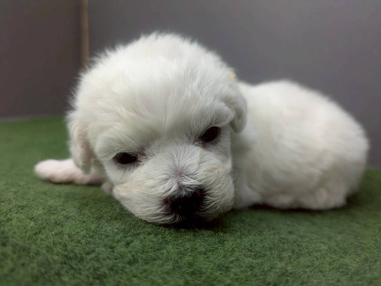 赤ちゃん写真2-1