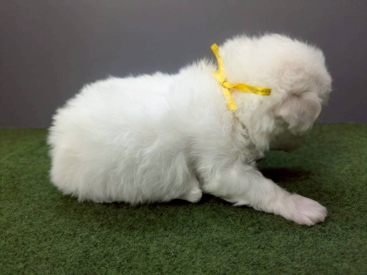 赤ちゃん写真2-2