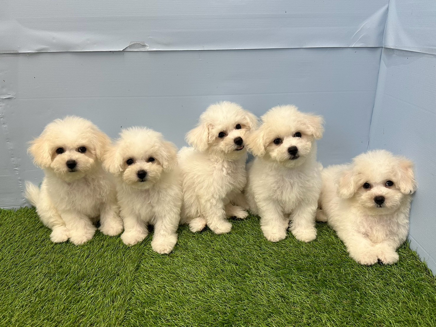 赤ちゃん写真3-3