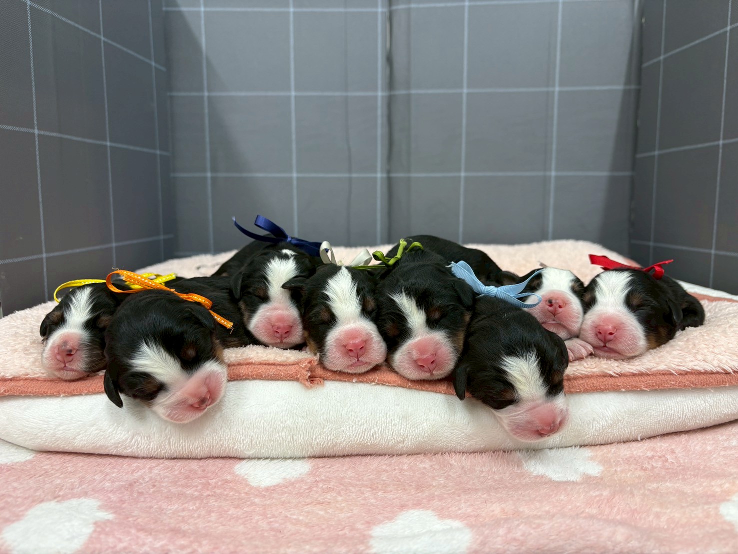 赤ちゃん写真1-3