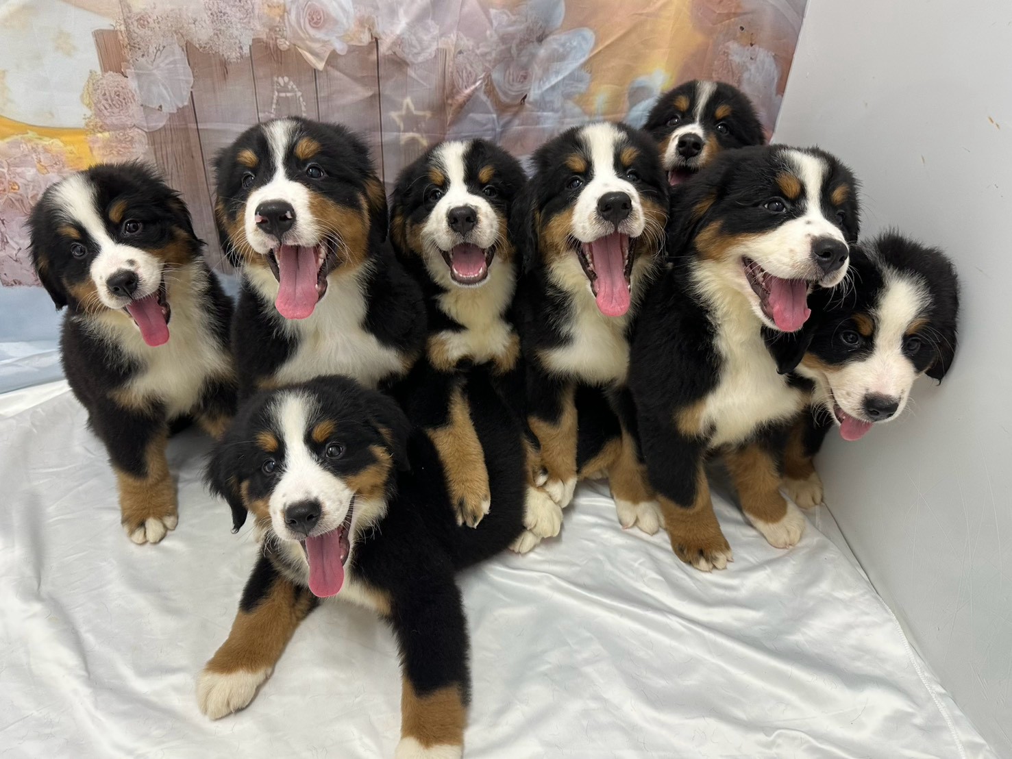 赤ちゃん写真3-3