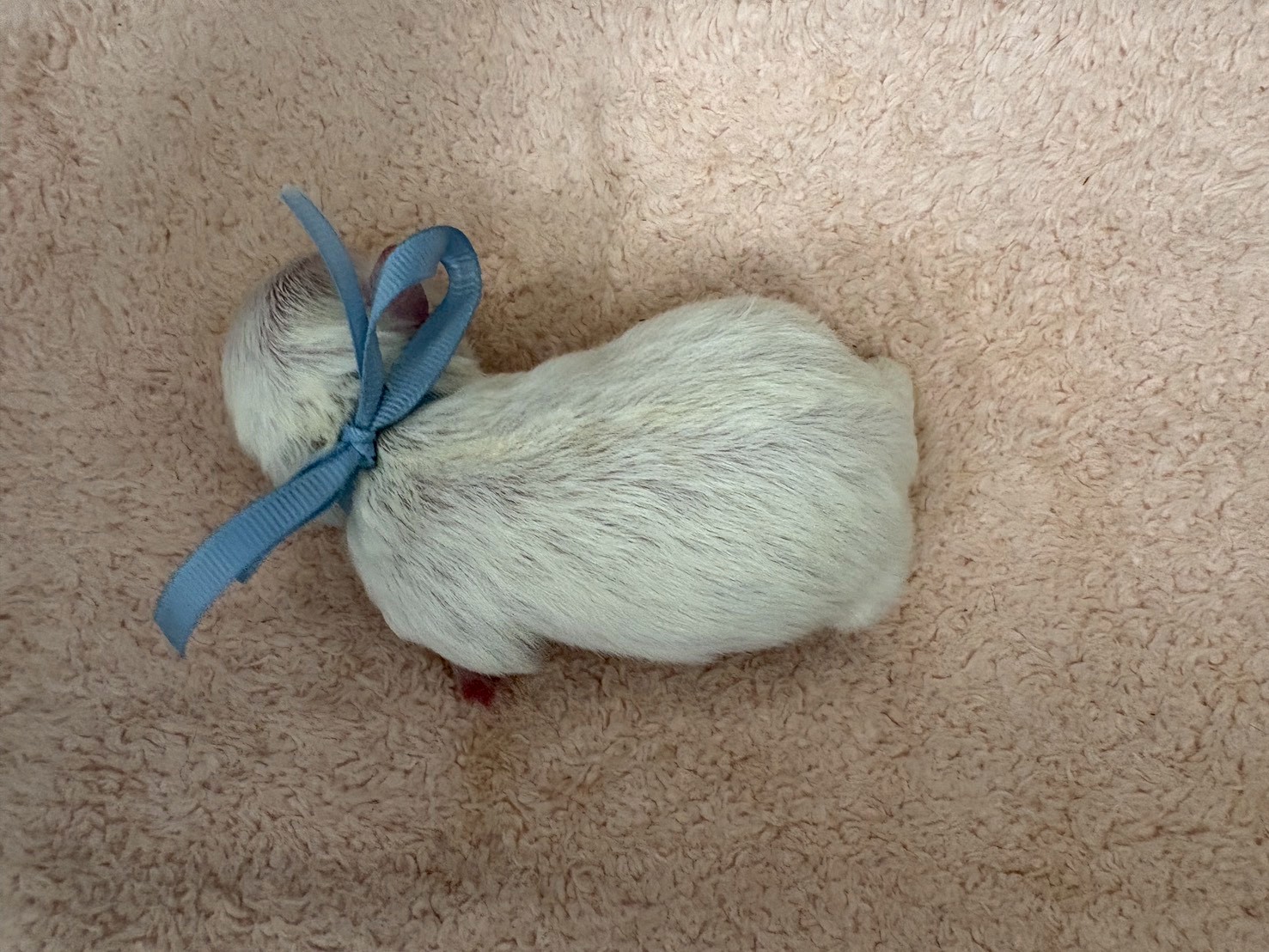 赤ちゃん写真1-3