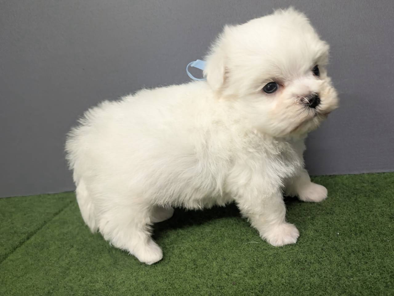 赤ちゃん写真2-2