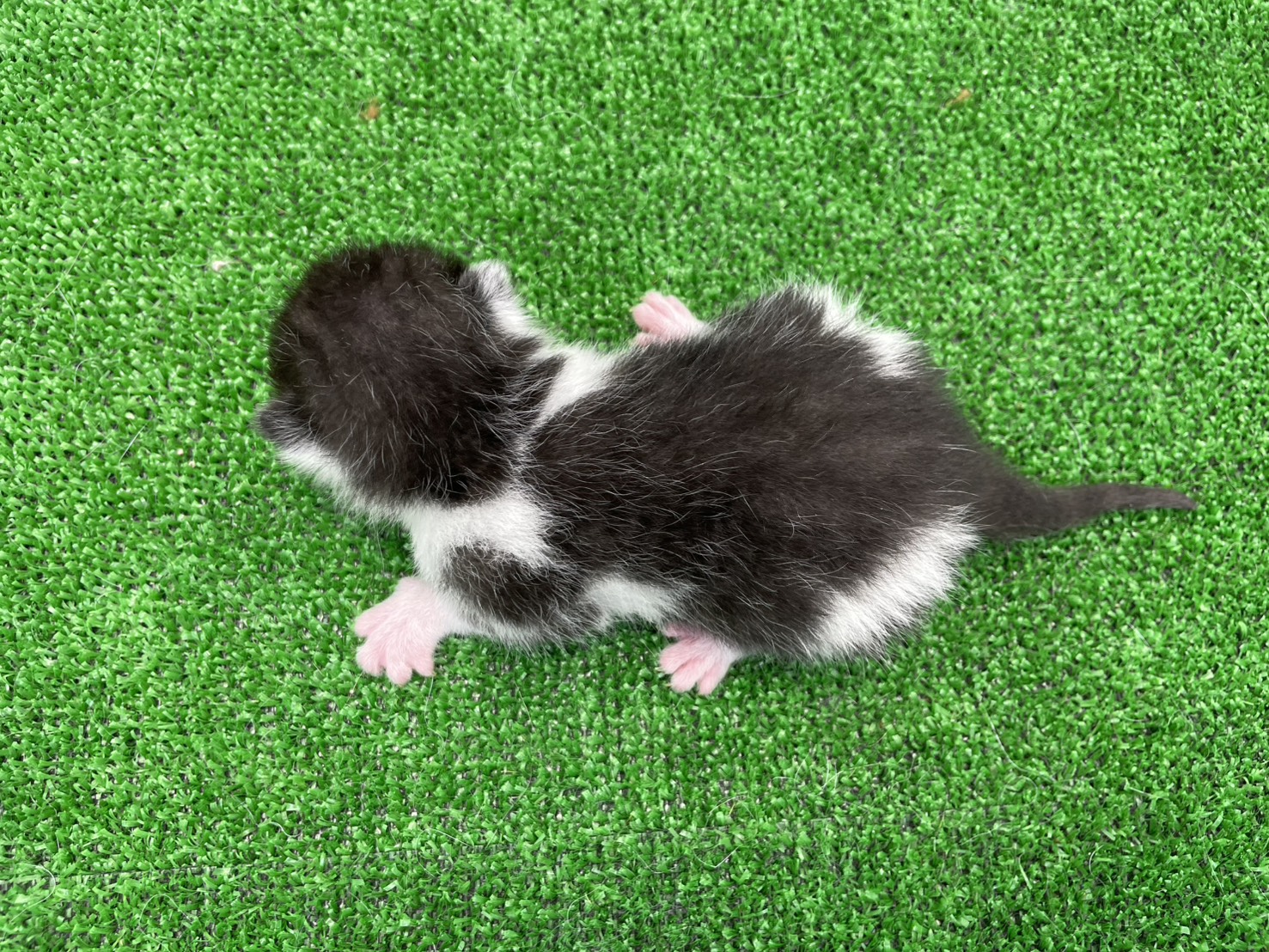 赤ちゃん写真1-3