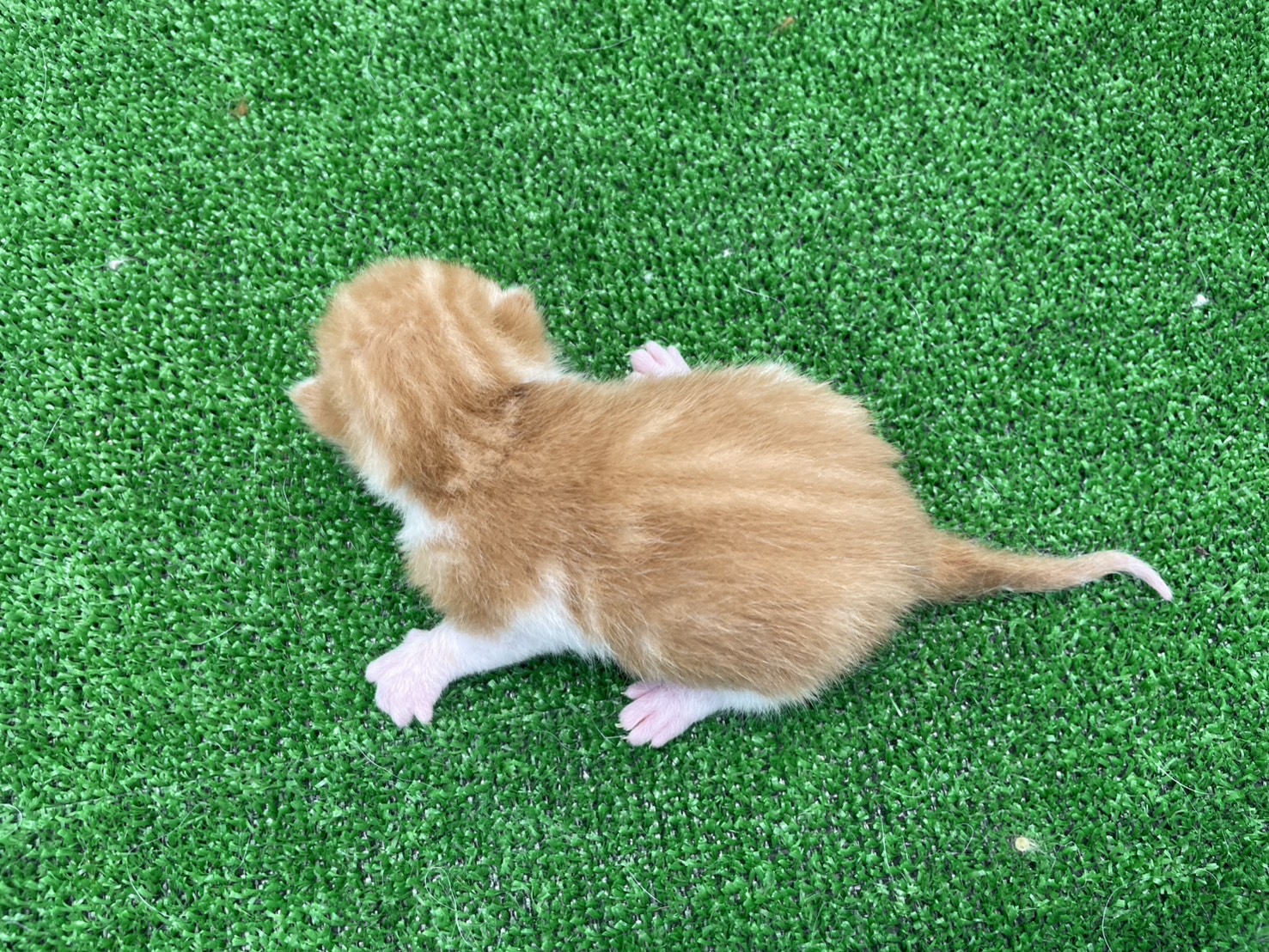 赤ちゃん写真1-3