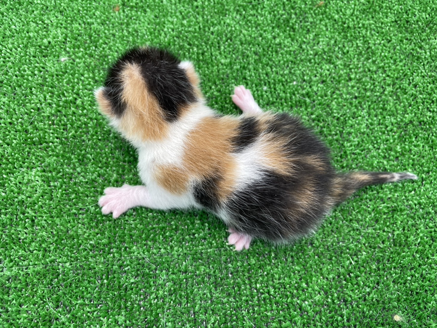 赤ちゃん写真1-3