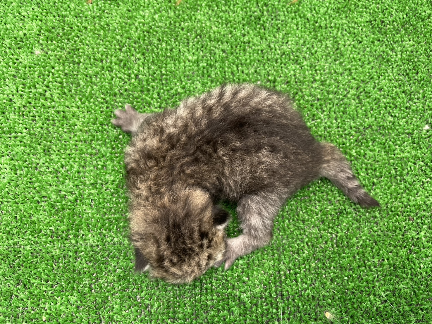 赤ちゃん写真1-3
