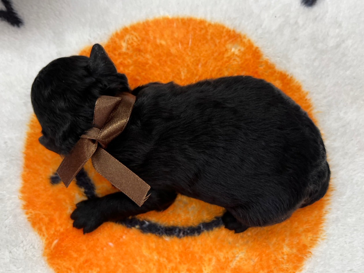 赤ちゃん写真1-3