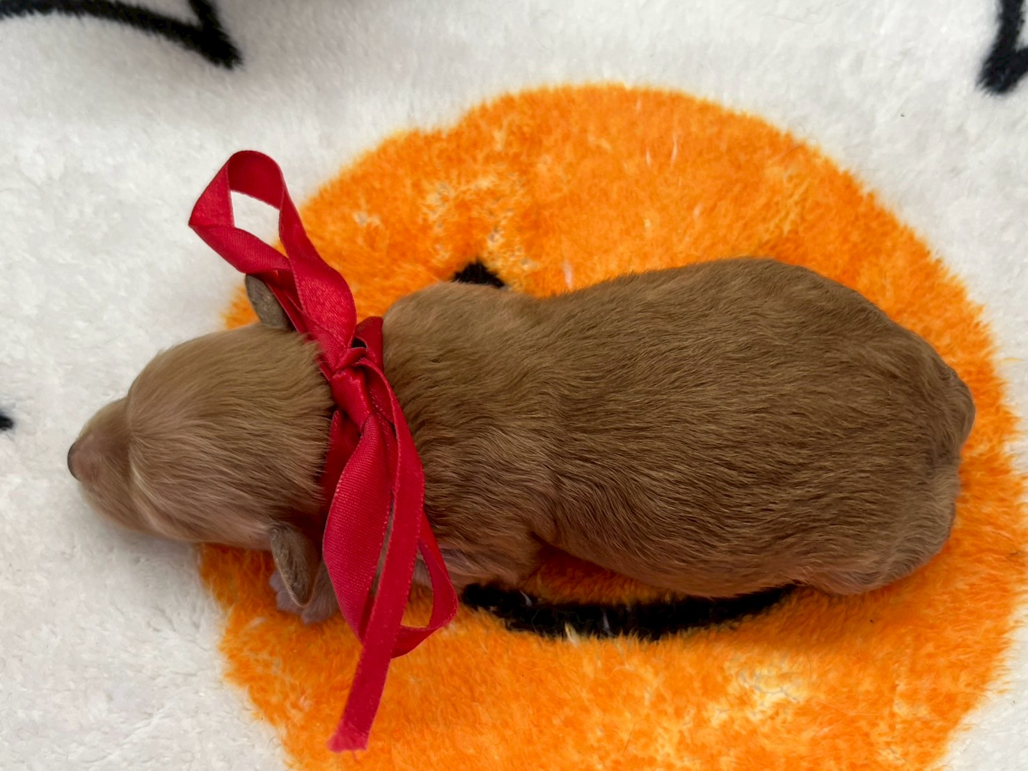 赤ちゃん写真1-3
