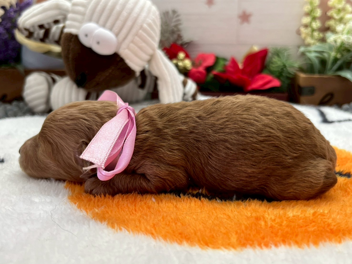 赤ちゃん写真1-2