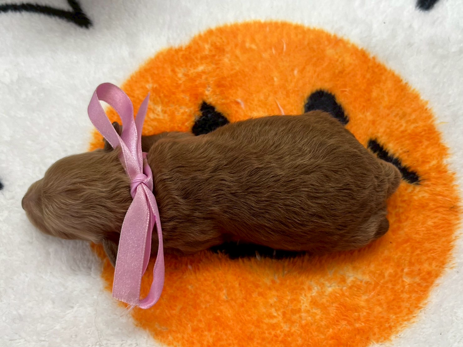 赤ちゃん写真1-3