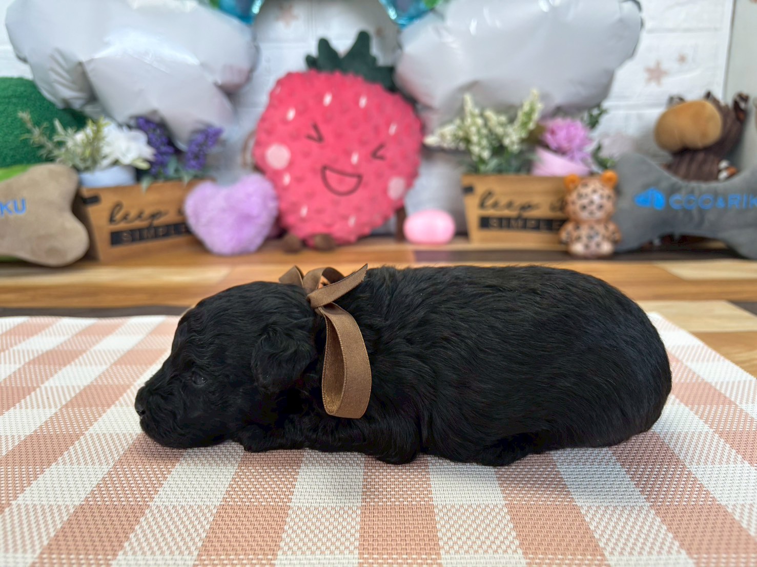 赤ちゃん写真2-2
