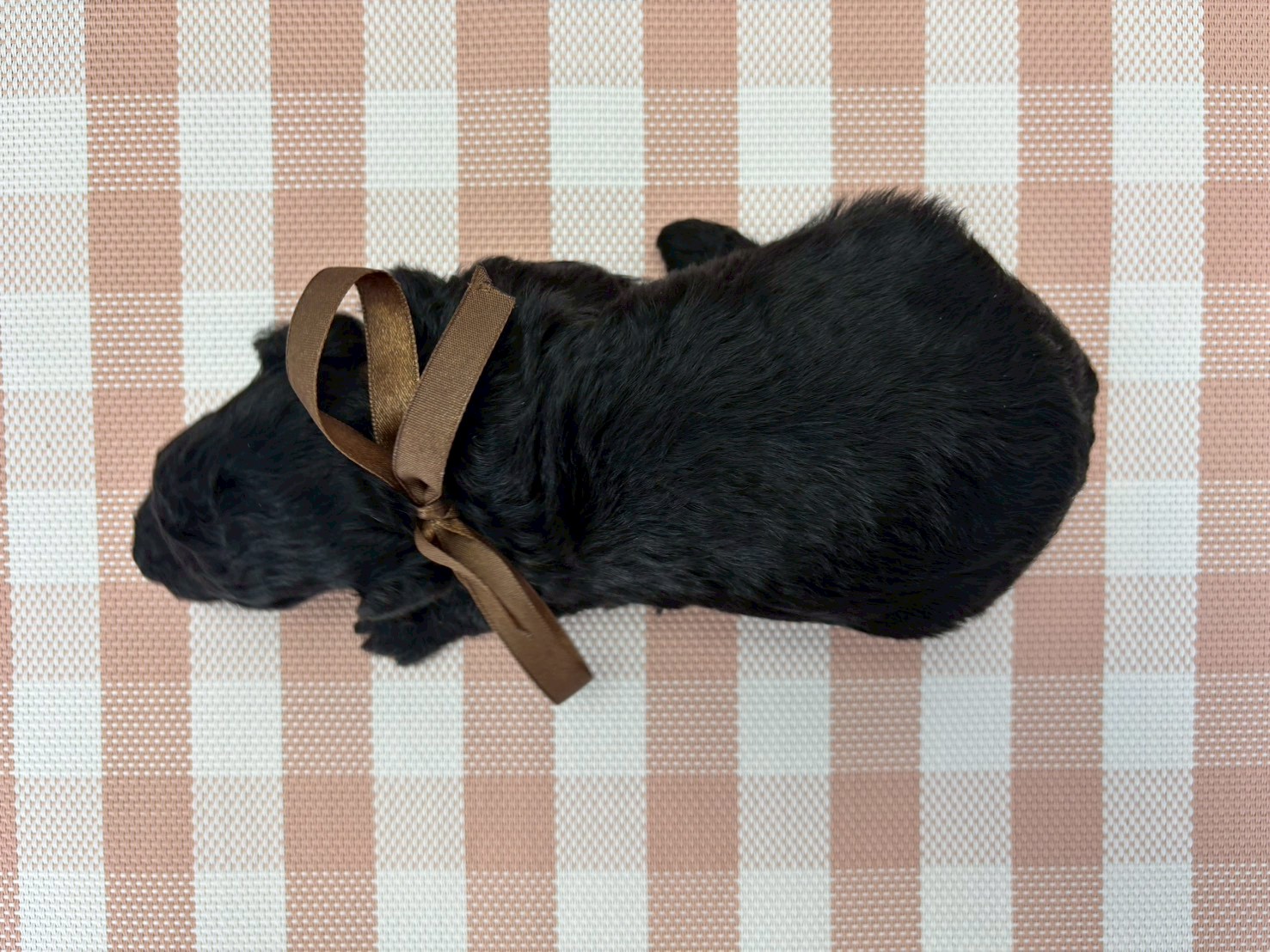 赤ちゃん写真2-3