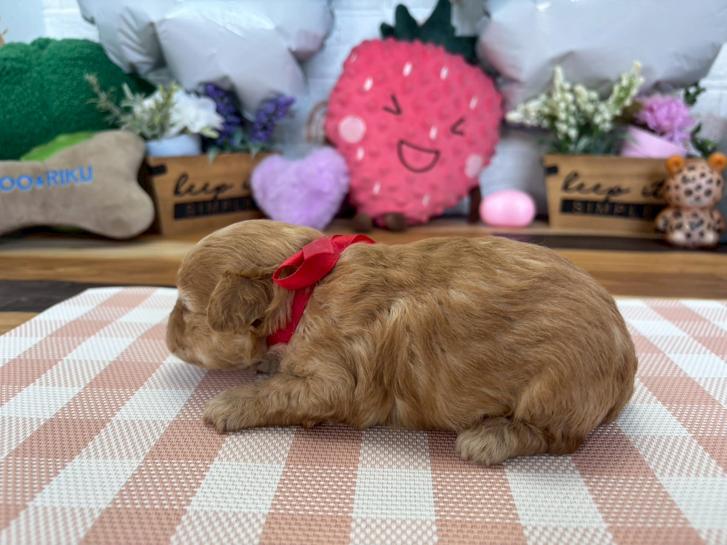 赤ちゃん写真2-2