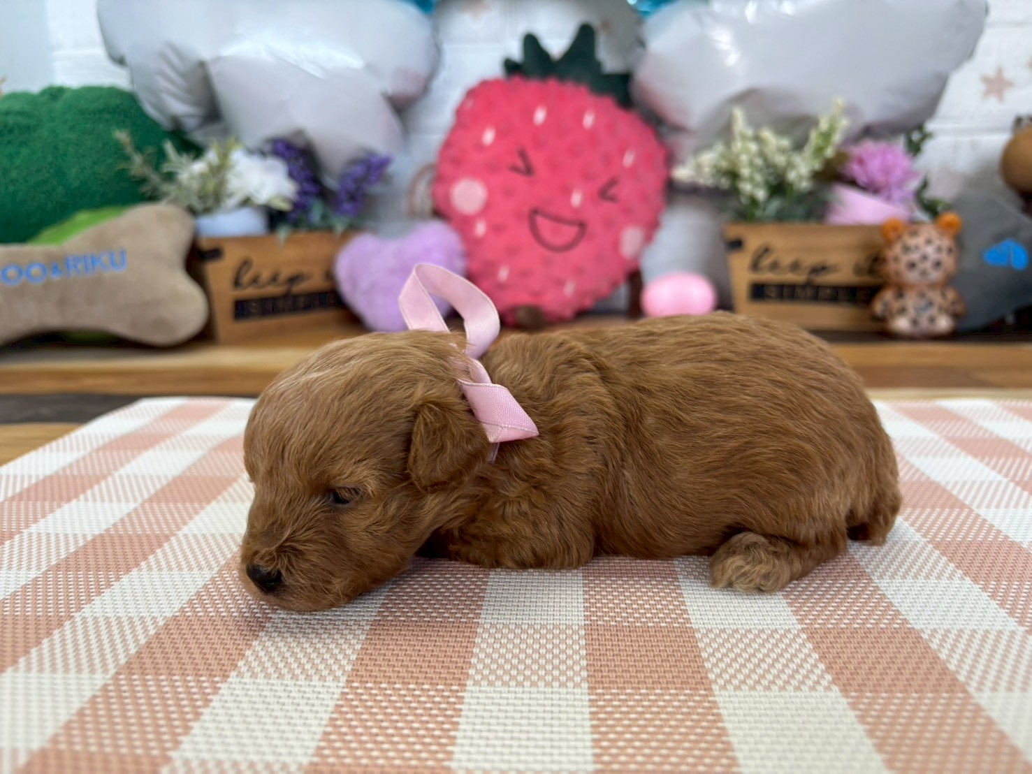 赤ちゃん写真2-2