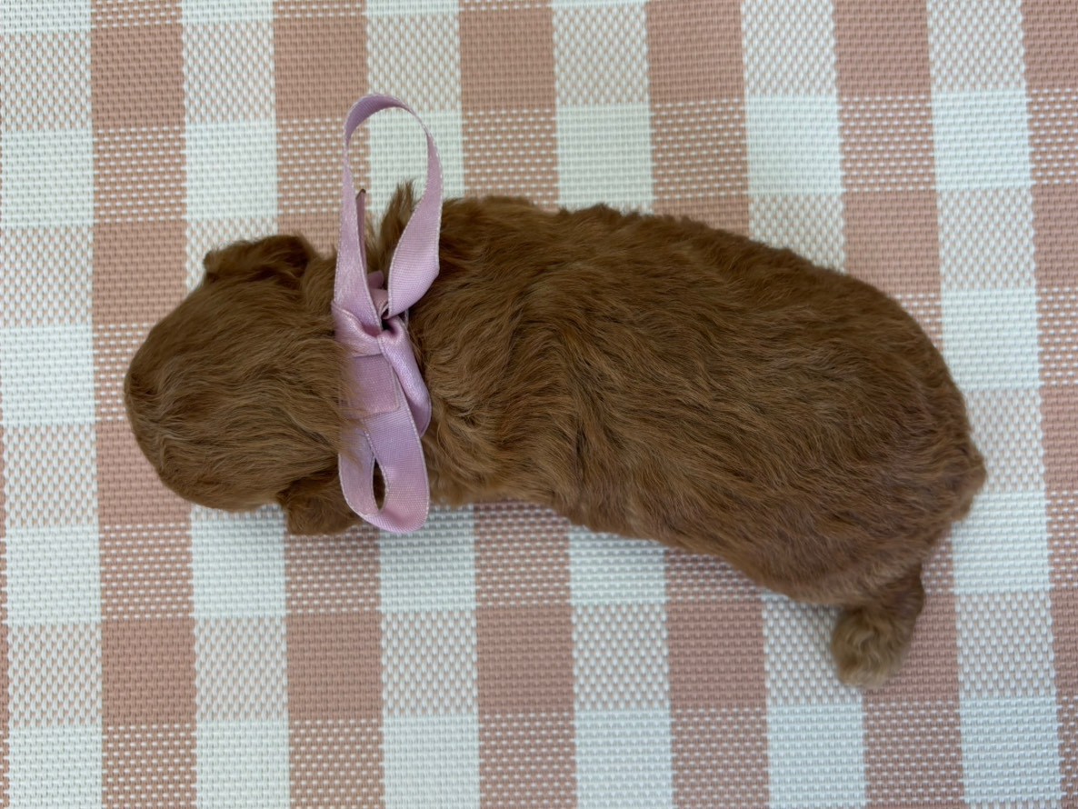 赤ちゃん写真2-3