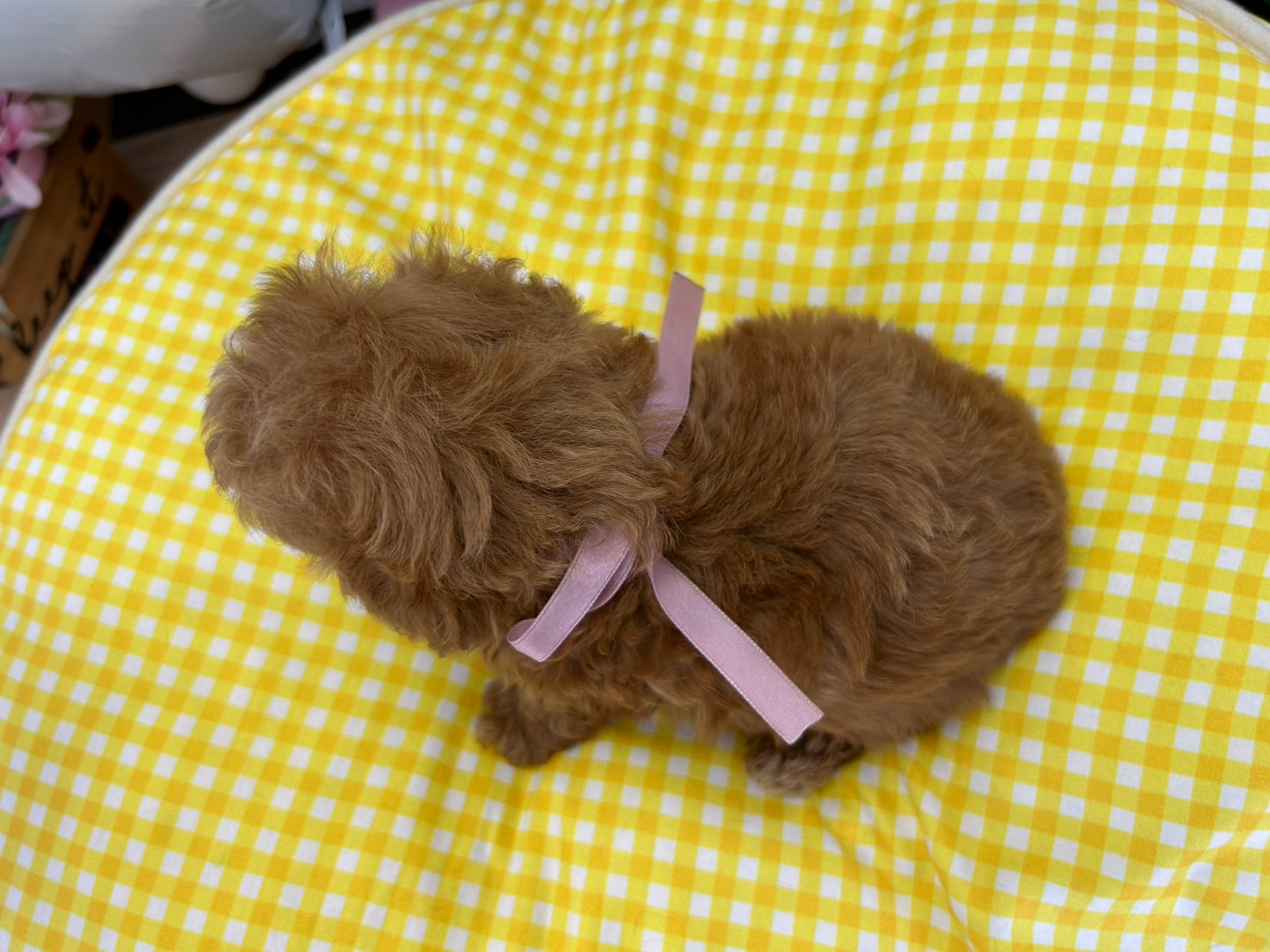赤ちゃん写真3-3