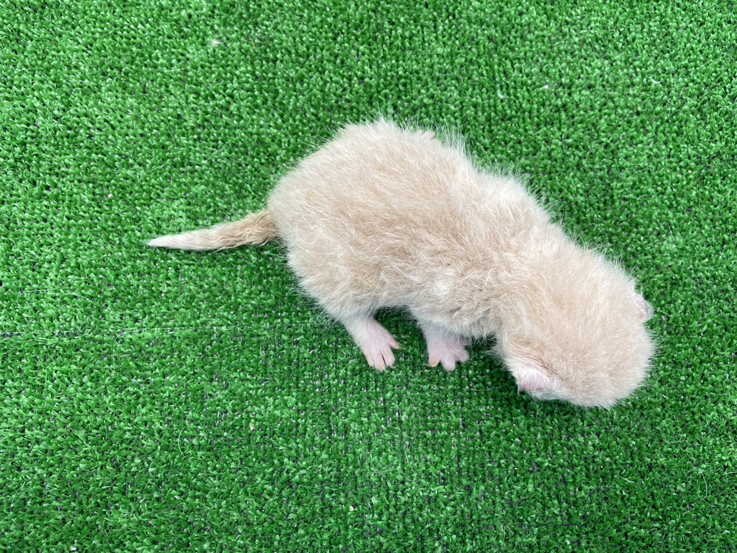 赤ちゃん写真1-1