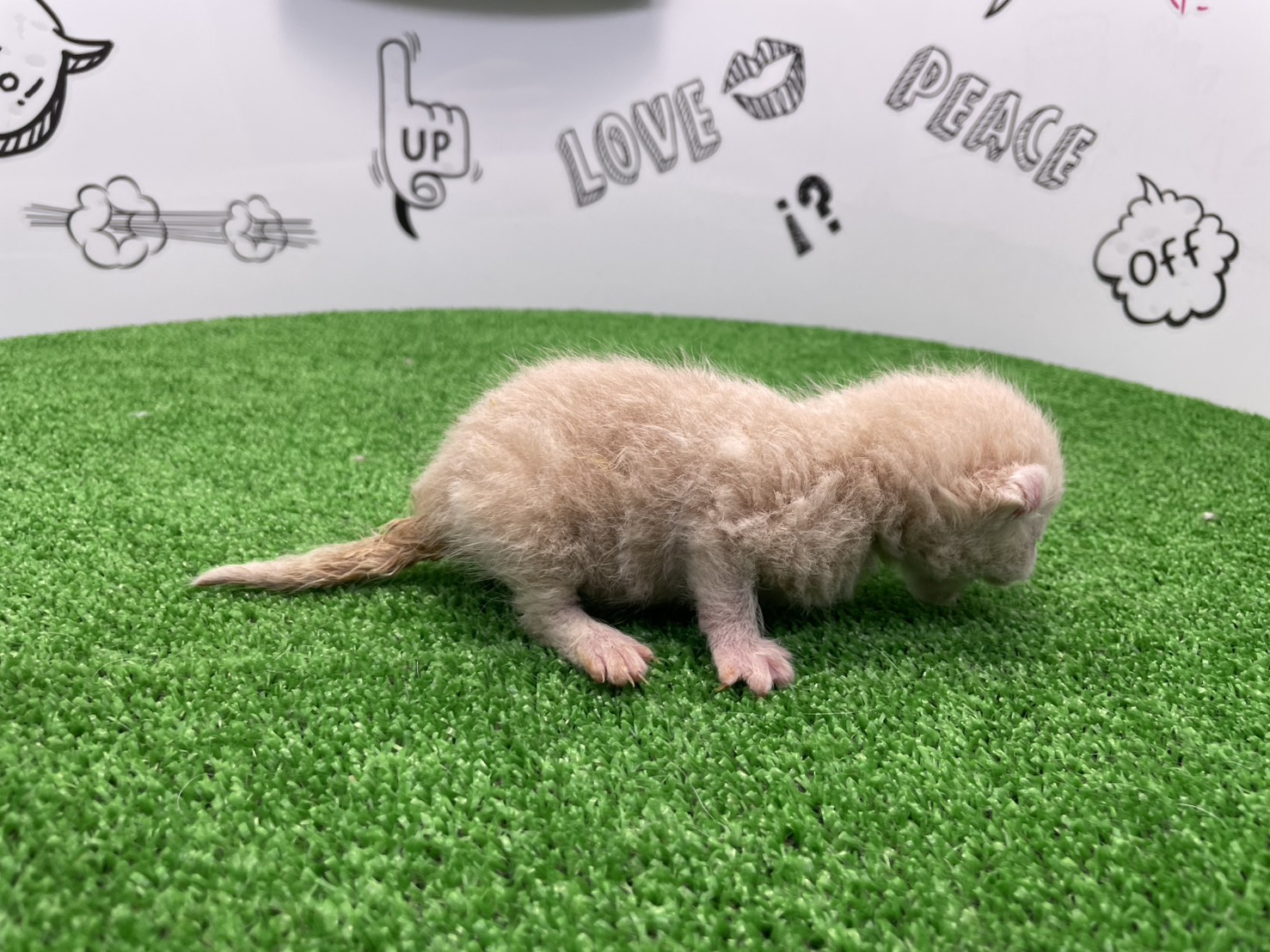 赤ちゃん写真1-3