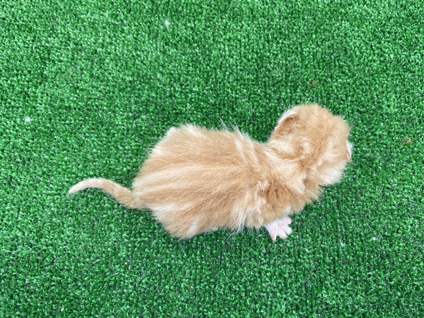 赤ちゃん写真1-3