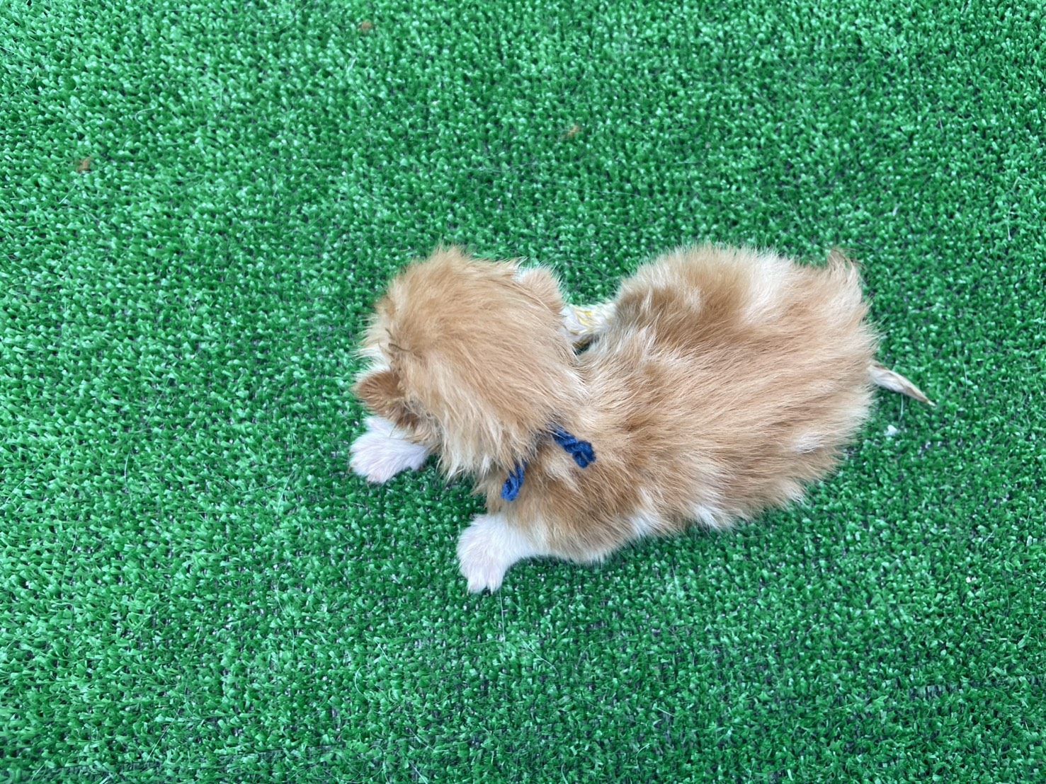 赤ちゃん写真1-3