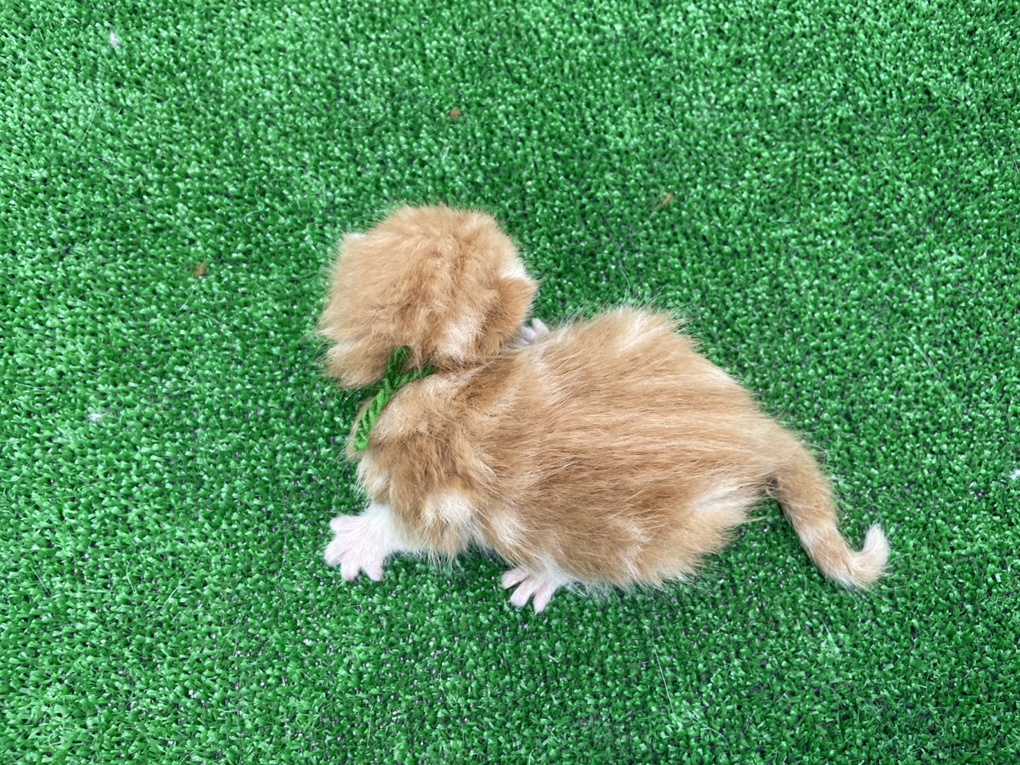 赤ちゃん写真1-3