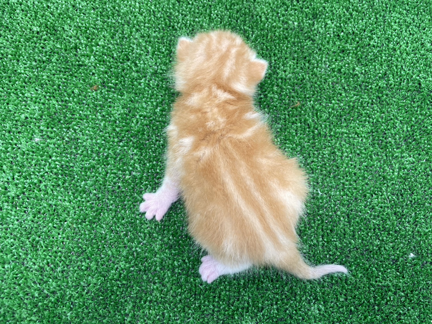 赤ちゃん写真1-3
