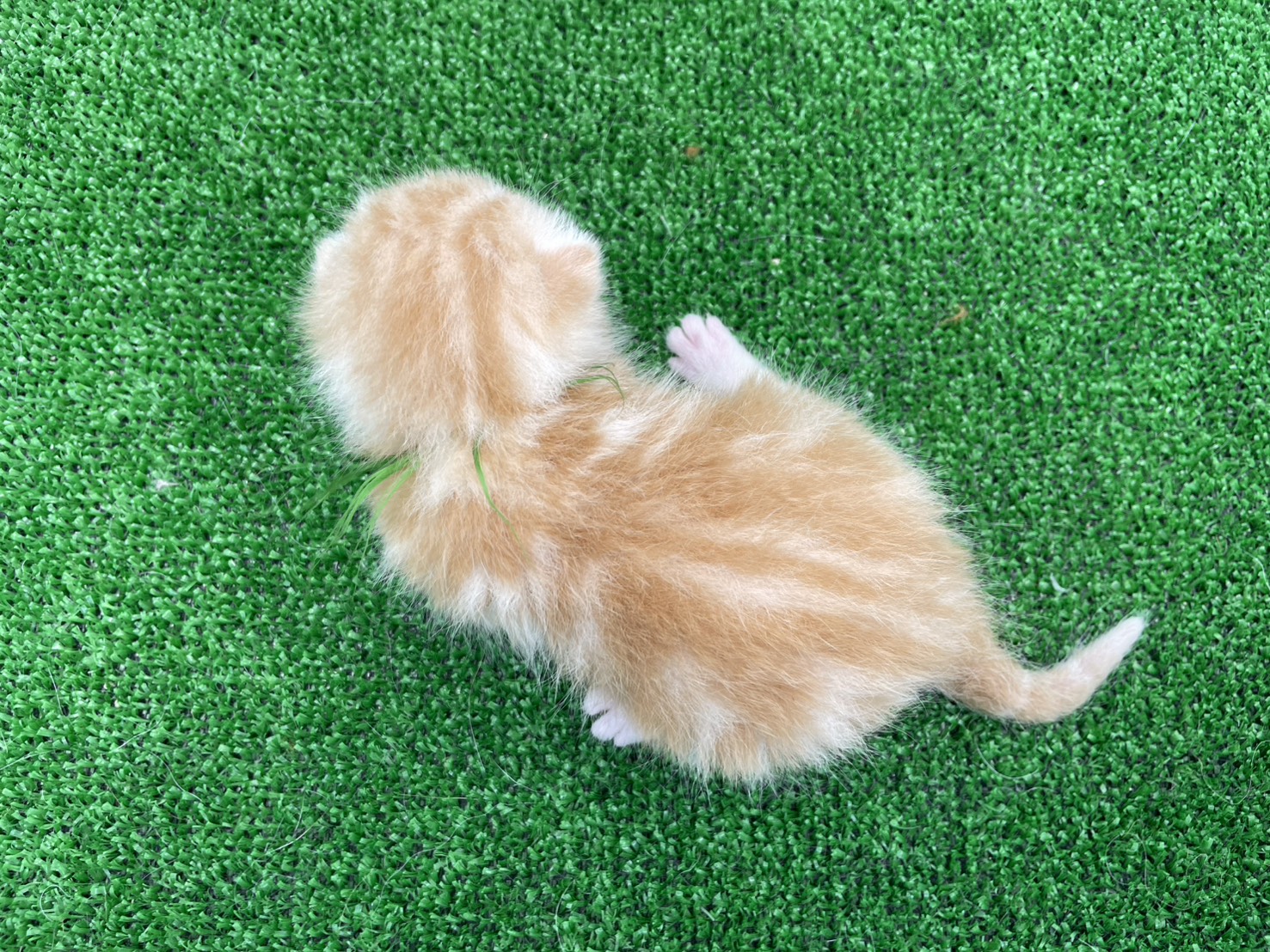 赤ちゃん写真1-3