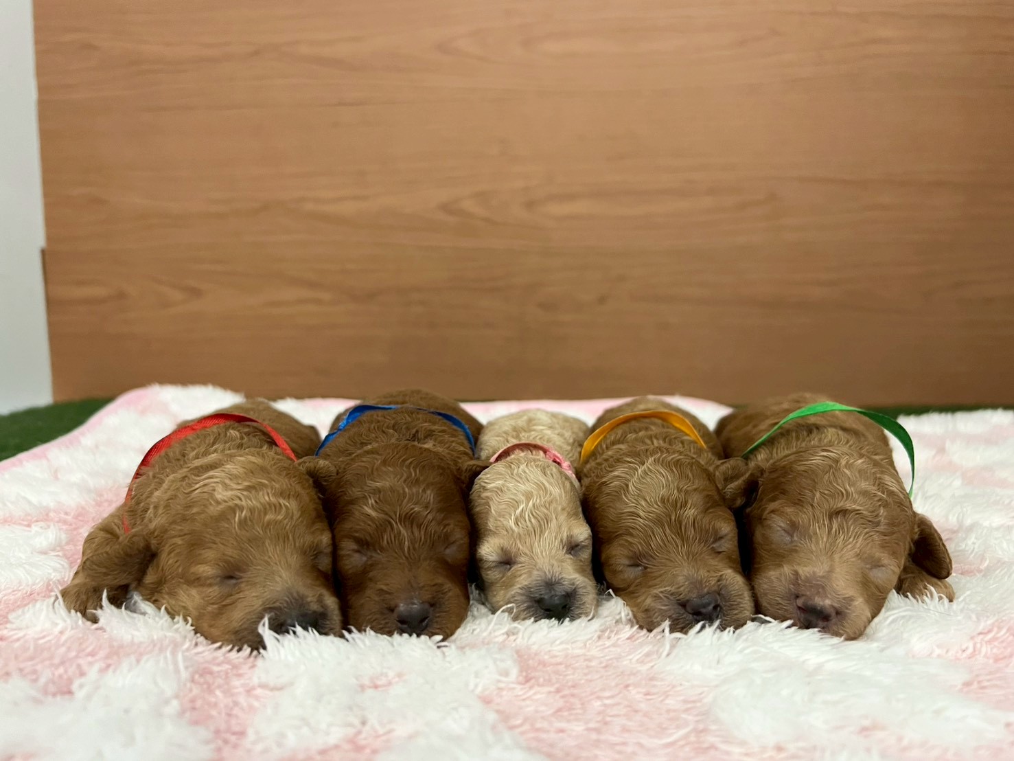 赤ちゃん写真1-3