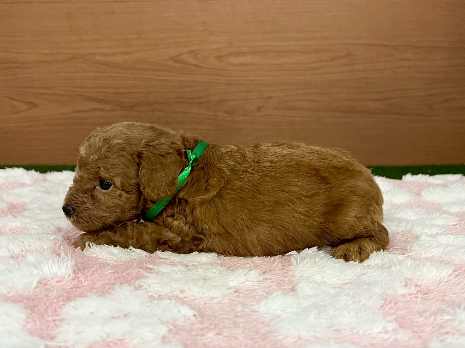 赤ちゃん写真2-2