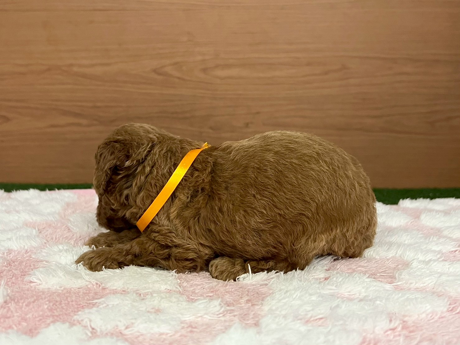 赤ちゃん写真2-2