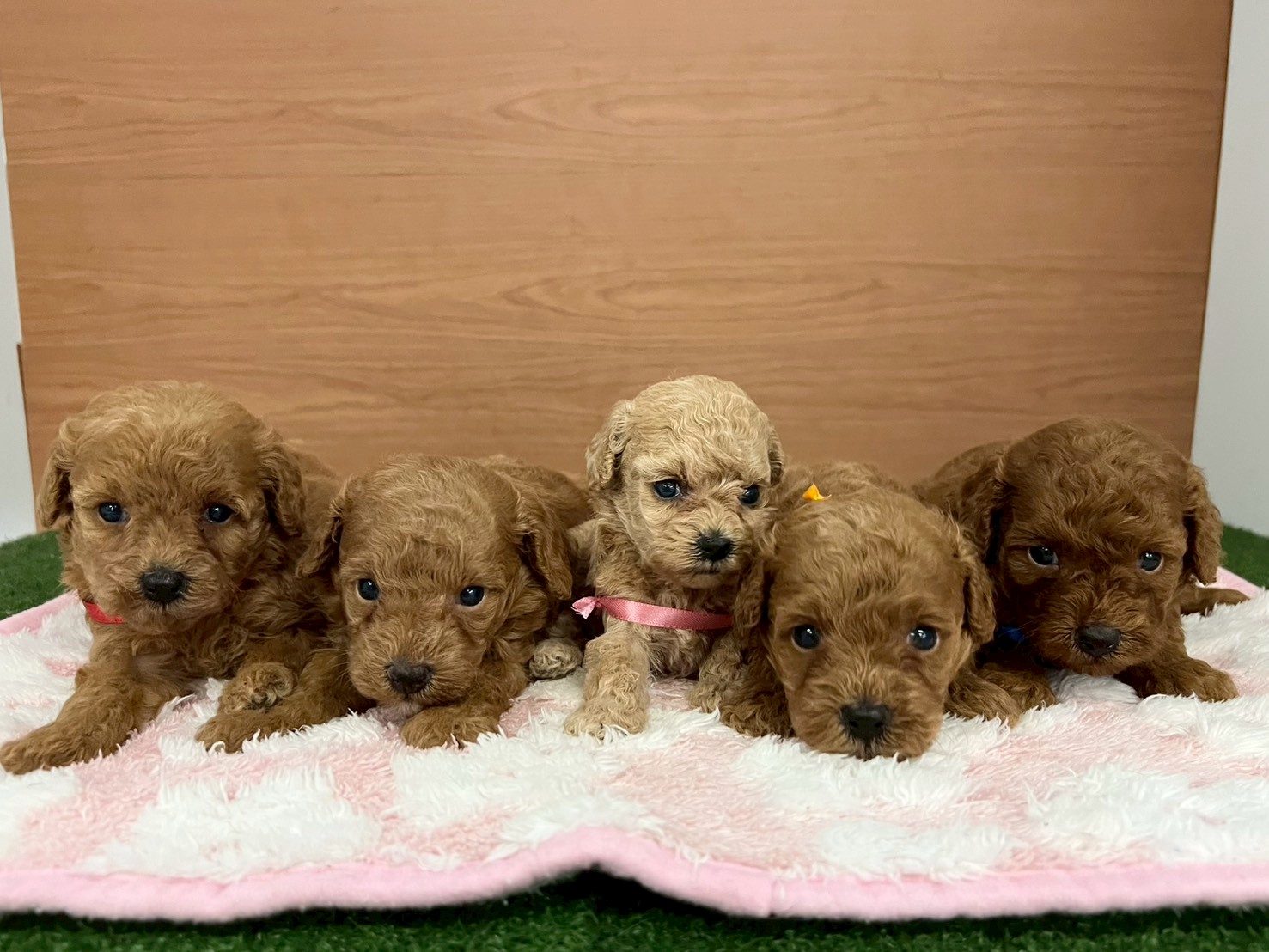赤ちゃん写真2-3