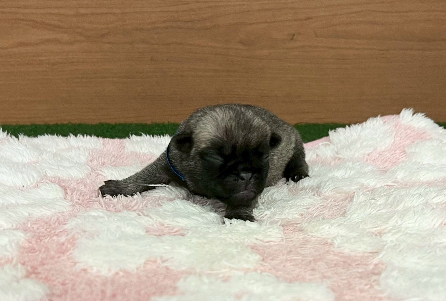 赤ちゃん写真1-1