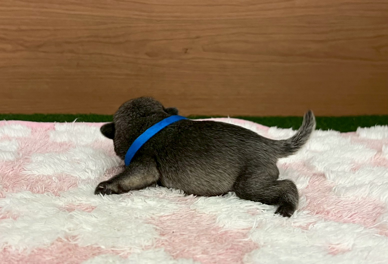 赤ちゃん写真1-2