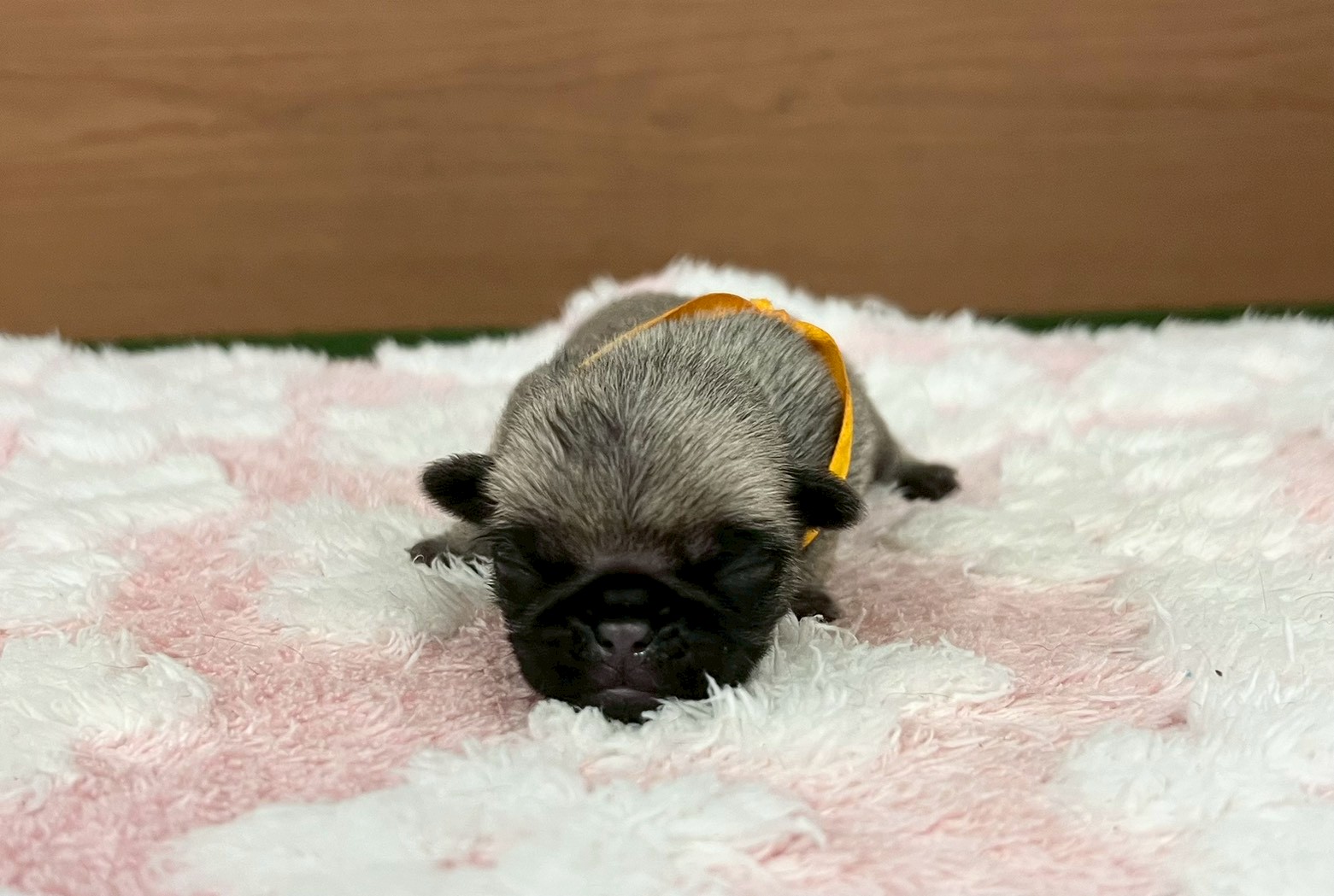 赤ちゃん写真1-1