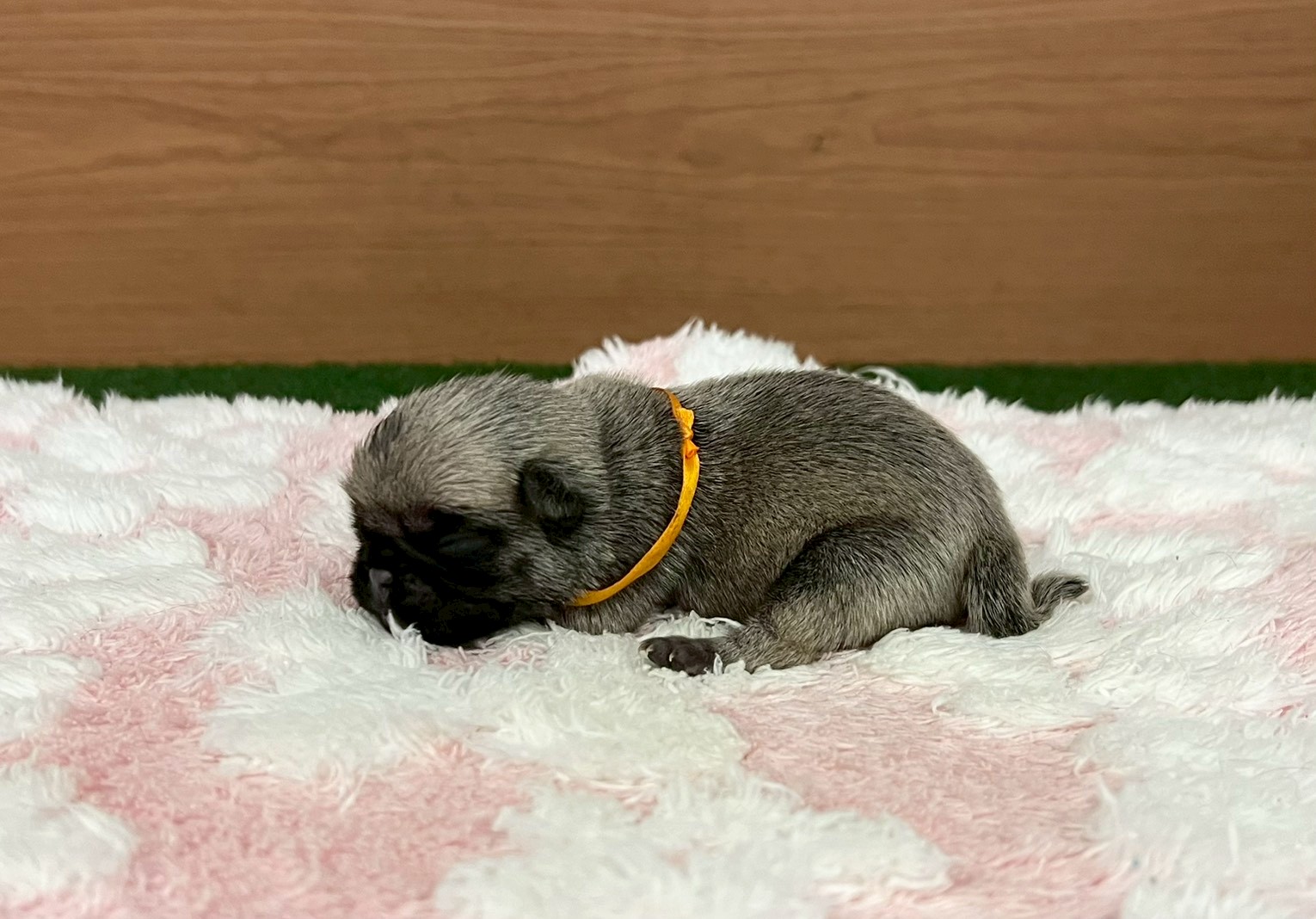 赤ちゃん写真1-2
