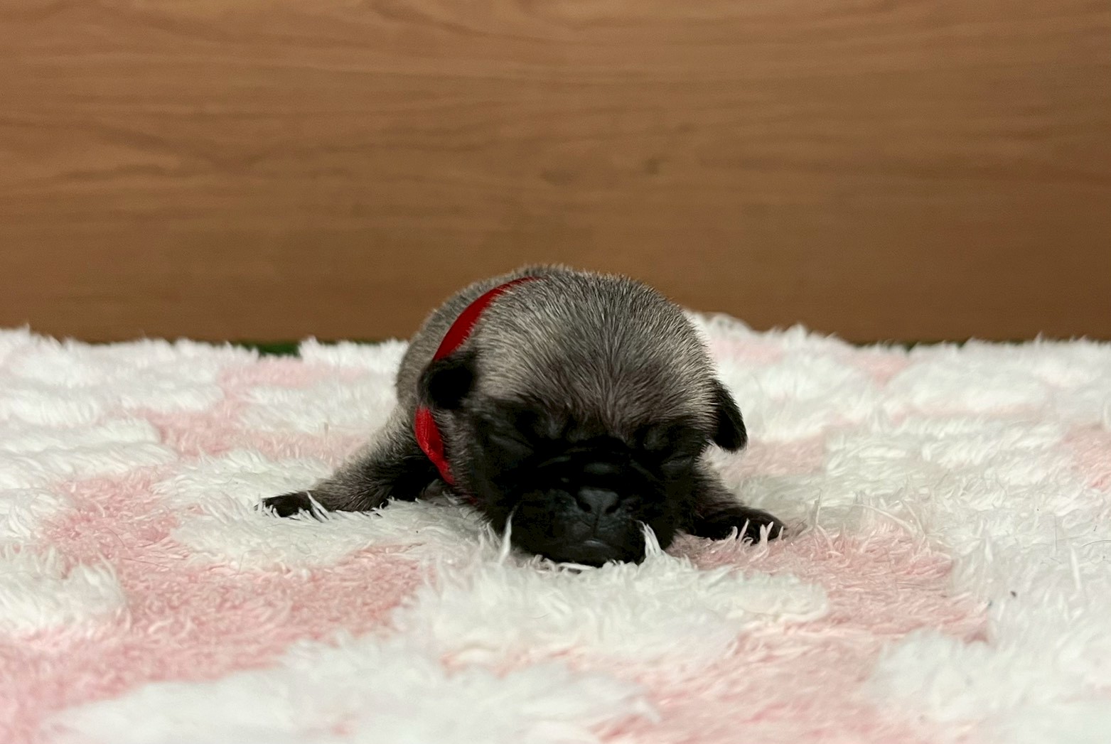 赤ちゃん写真1-1