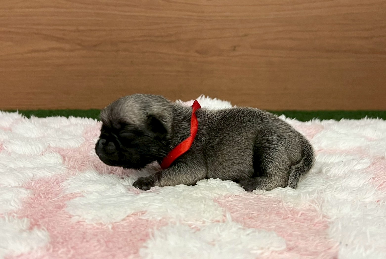 赤ちゃん写真1-2