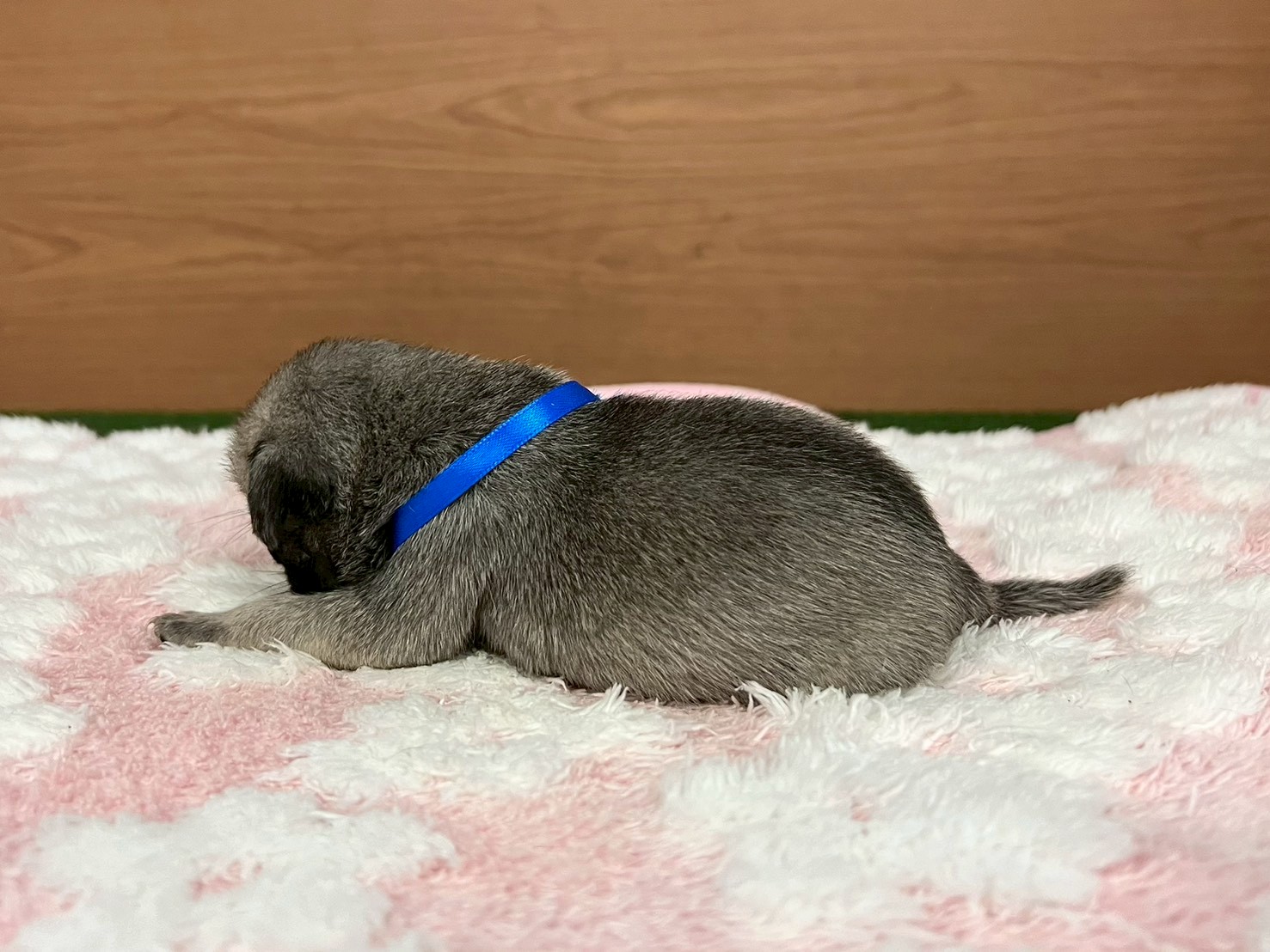 赤ちゃん写真2-2