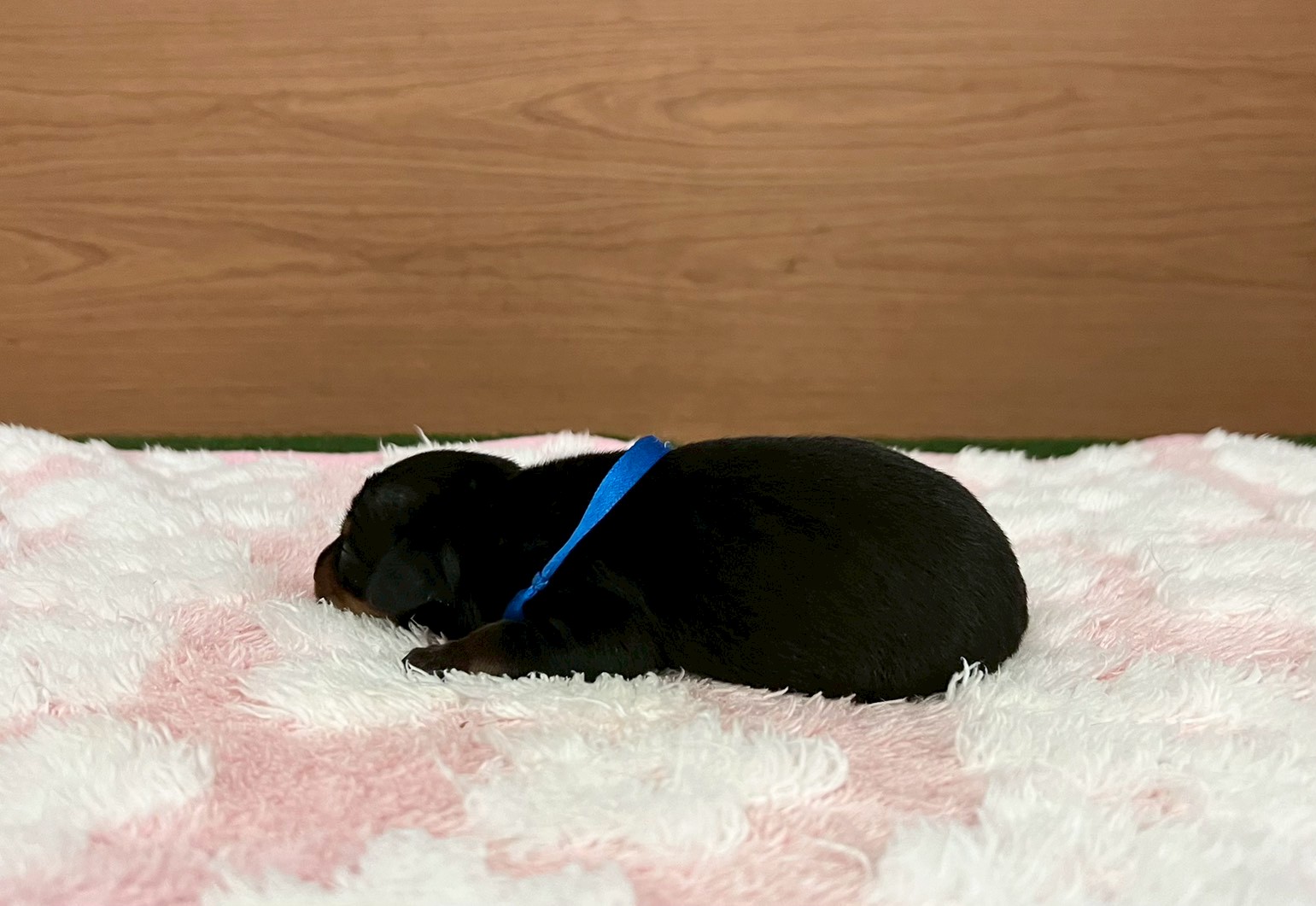 赤ちゃん写真1-2