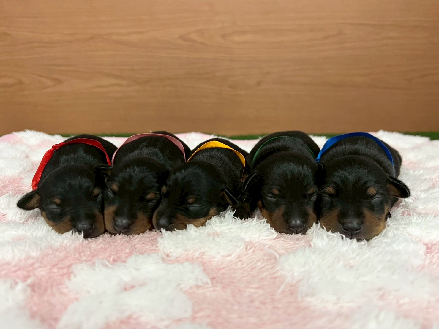 赤ちゃん写真1-3