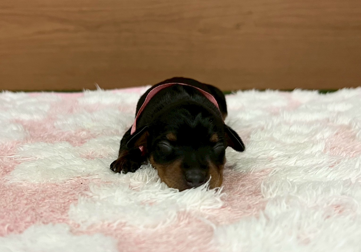 赤ちゃん写真1-1
