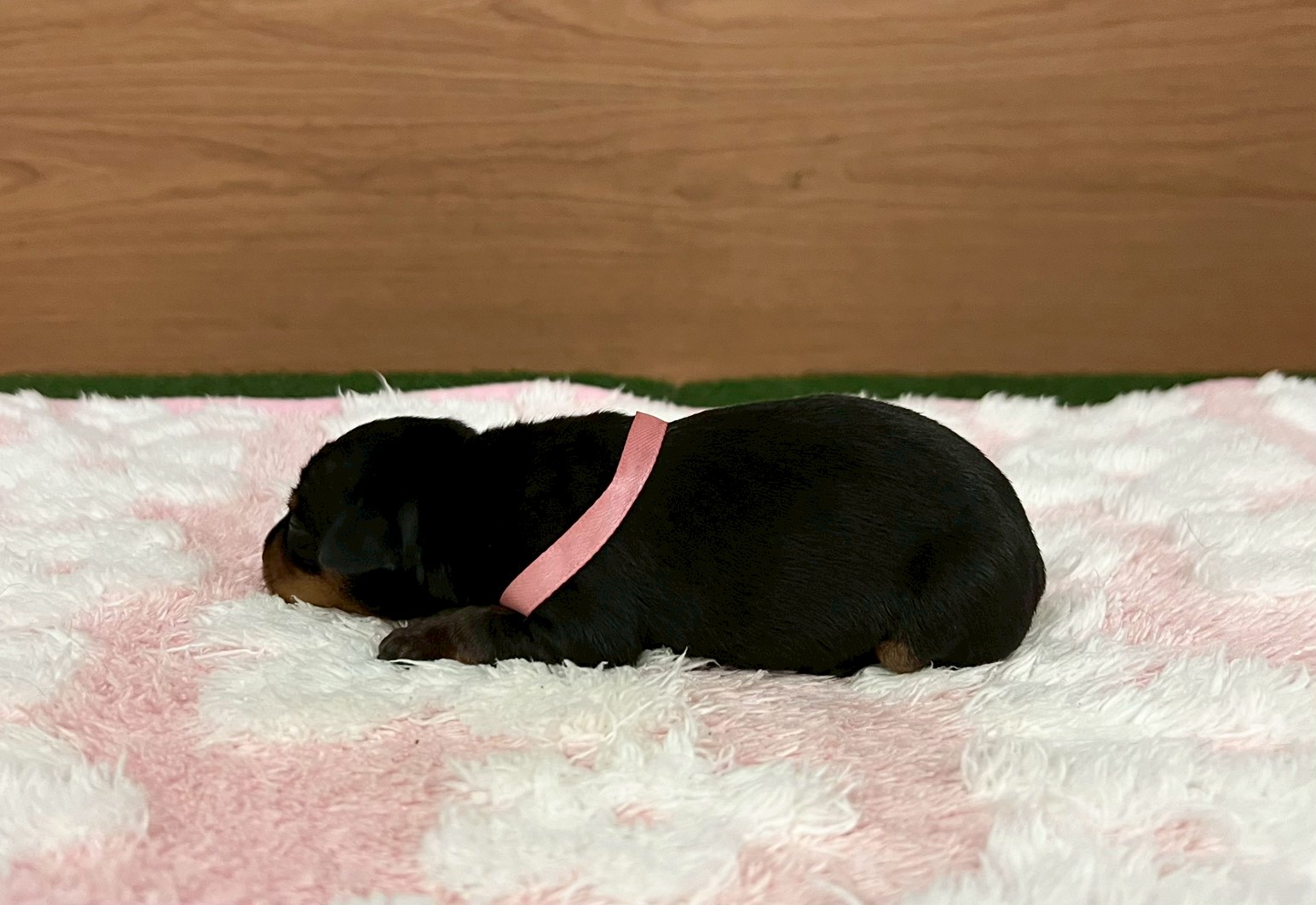 赤ちゃん写真1-2