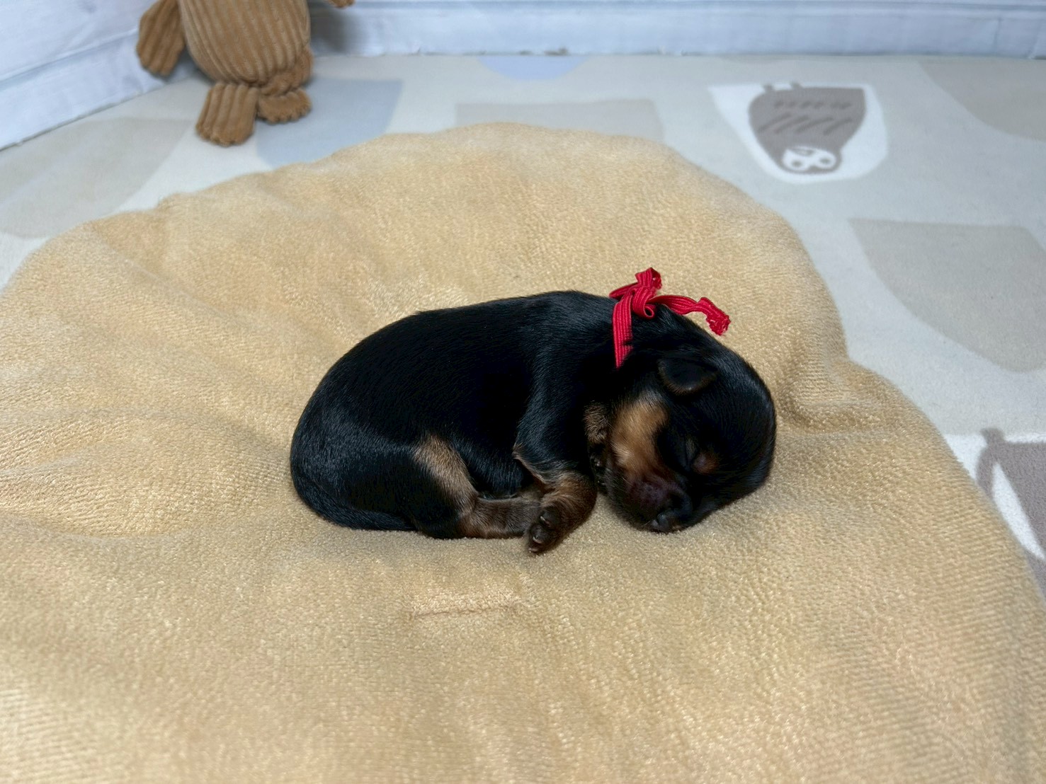 赤ちゃん写真1-2