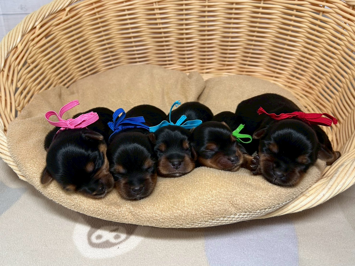 赤ちゃん写真1-3