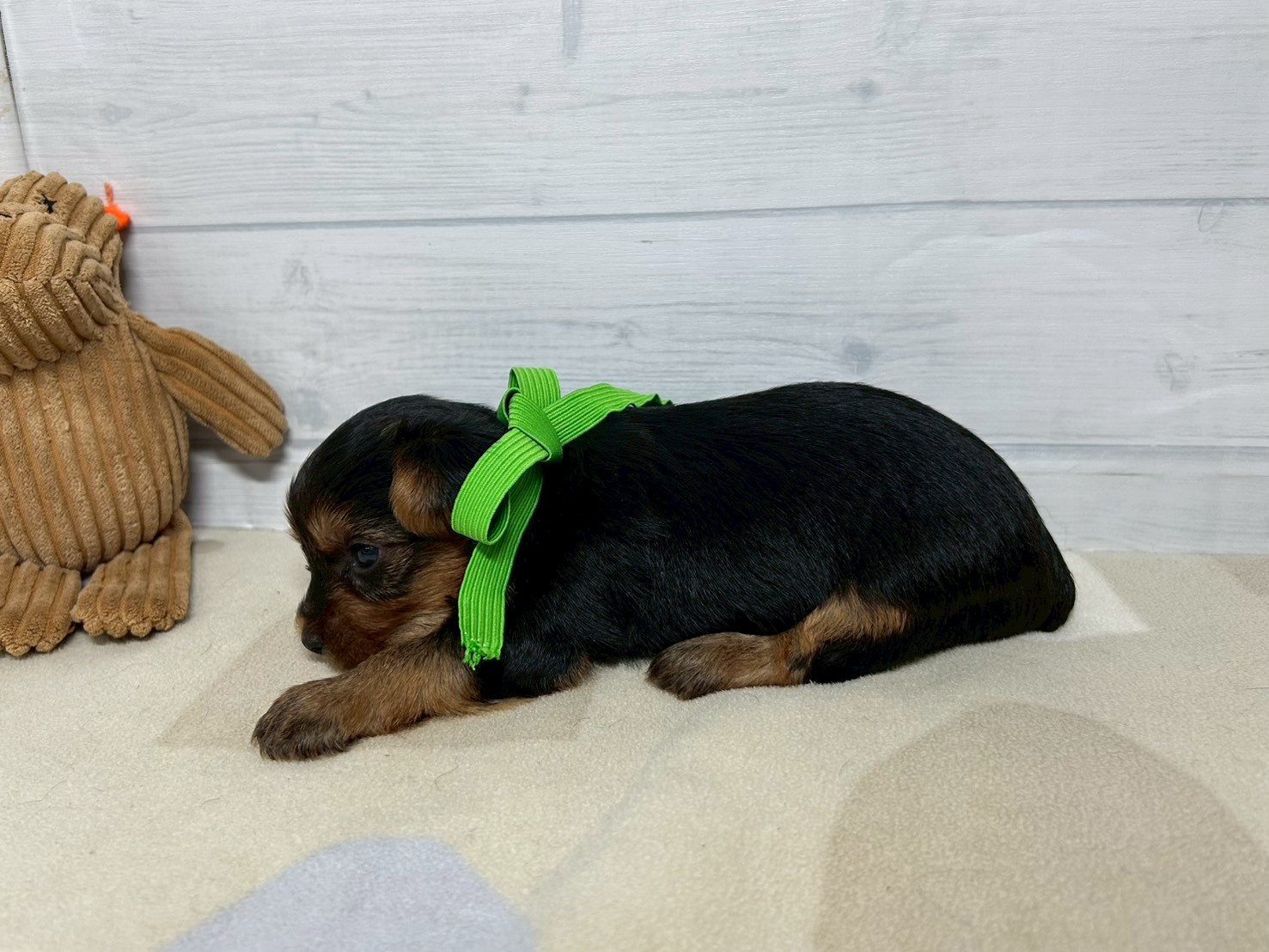 赤ちゃん写真2-2